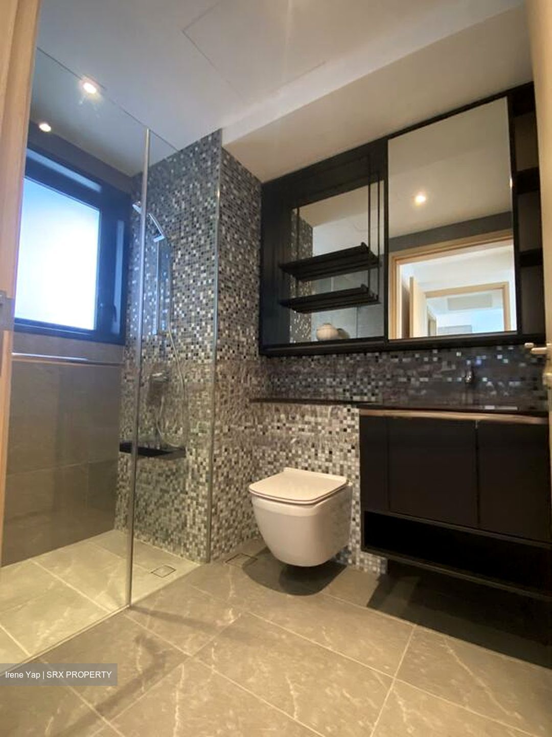 The Antares (D14), Apartment #460118921